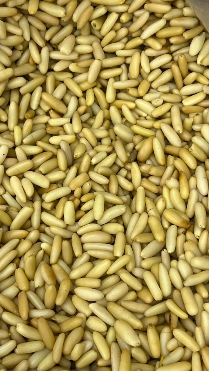 Chilghoza Without Shell Half Roast