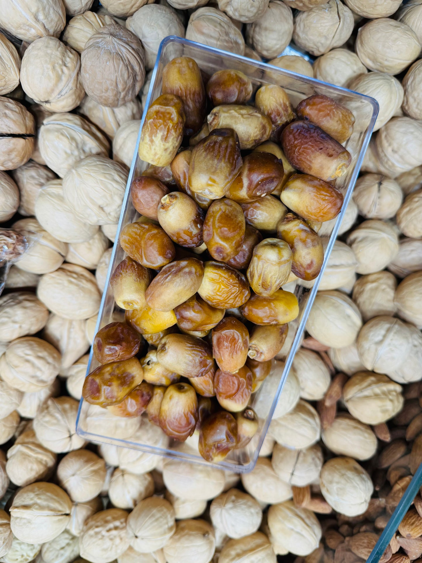 Zahedi Khajoor Large