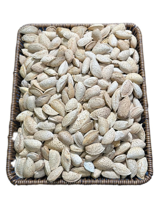 Abdulwahidi Badam With Shell