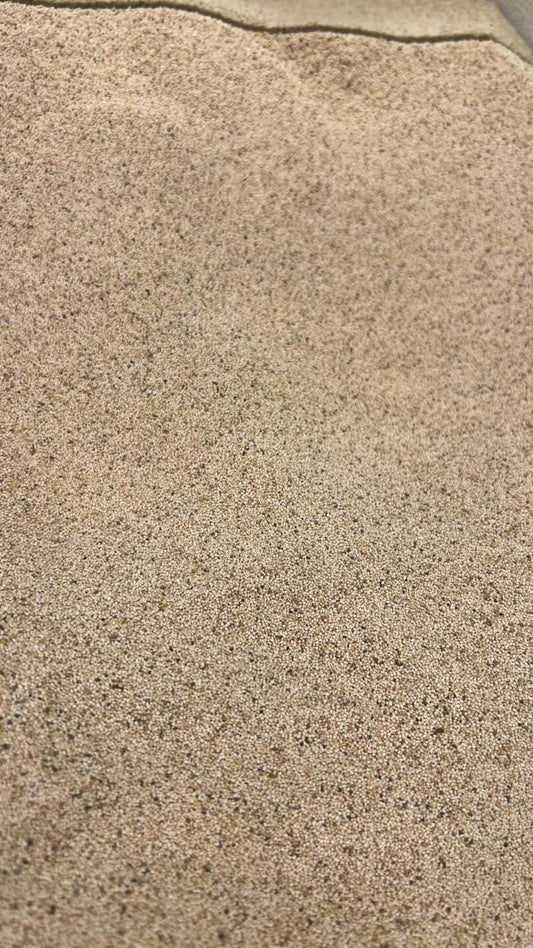 Khash Khash/Poppy Seeds