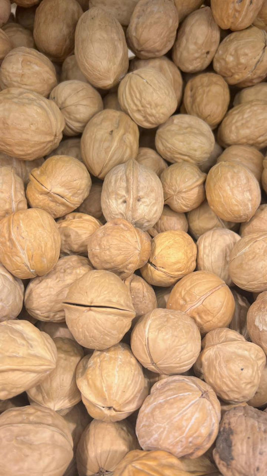 White Shelled Akhroot