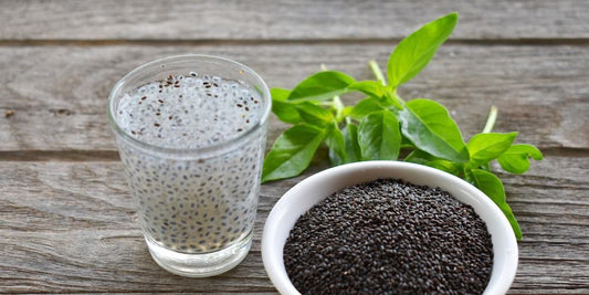 Basil Seeds / Tukhme malanga