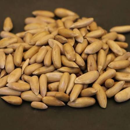 Polished Golden Chilghoza